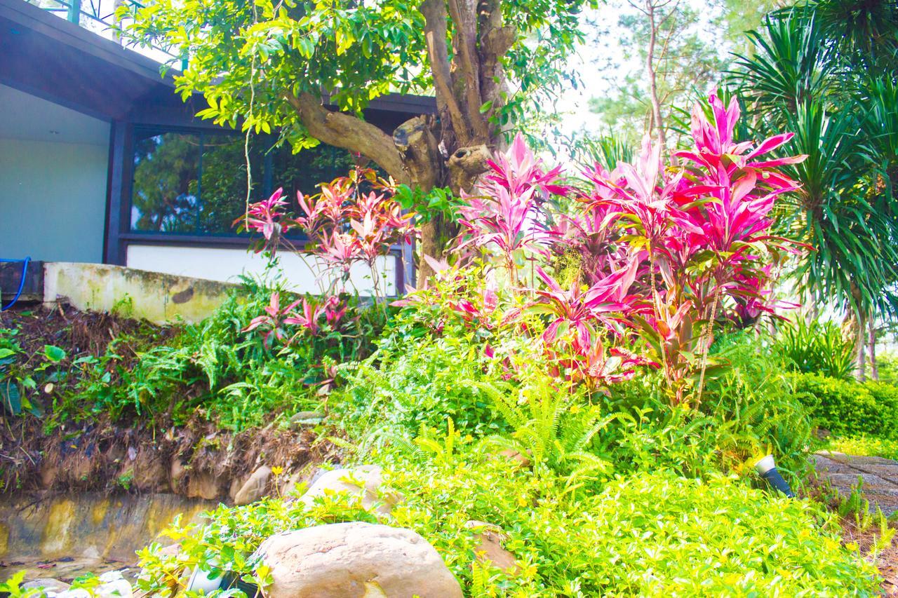 Bird Land Resort Khao Kho Esterno foto