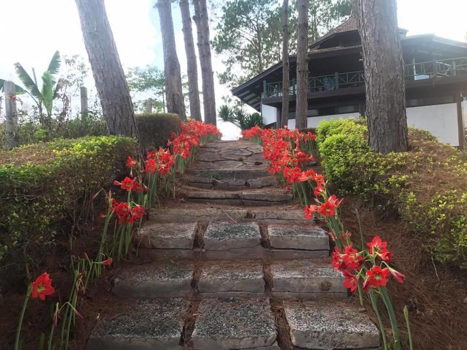 Bird Land Resort Khao Kho Esterno foto