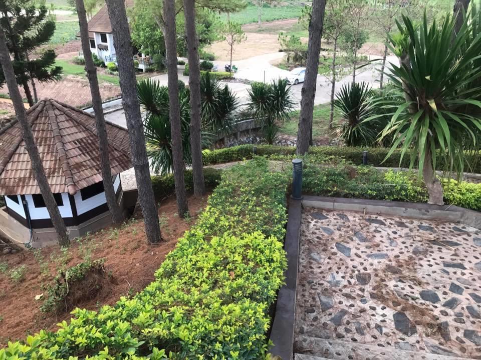 Bird Land Resort Khao Kho Esterno foto
